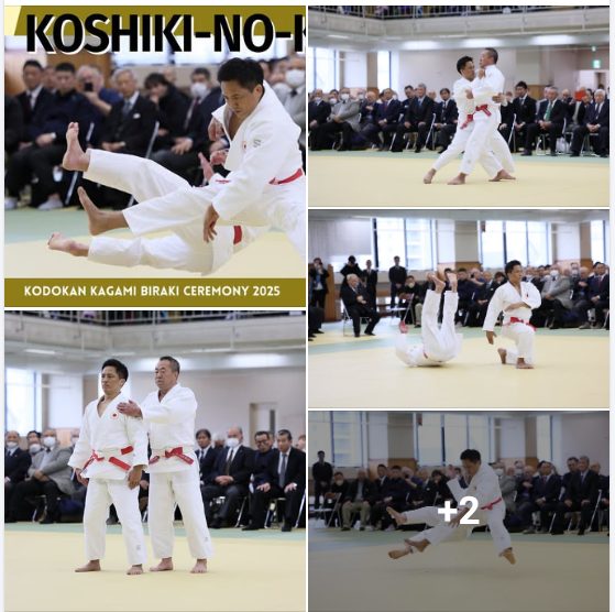 Komisja Kata zaprasza do Świata Itsutsu-no-Kata i Koshiki-no-Kata!